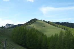 Tyrnauer Alm
