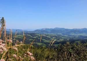 Schöckl-Runde / Wanderurlaub / Steiermark