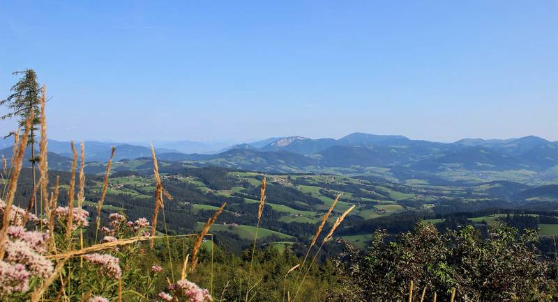 Ausblick über den Naturpark vom Schöckl