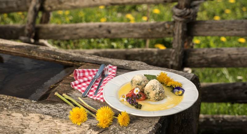 Löwenzahn Knödel