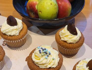 Maronia Cupcakes mit Produkten aus dem Naturpark Almenland Maronia Cupcakes mit Produkten aus dem Naturpark Almenland