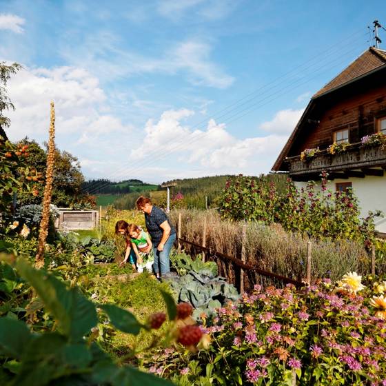 Kräutergarten Hochegger