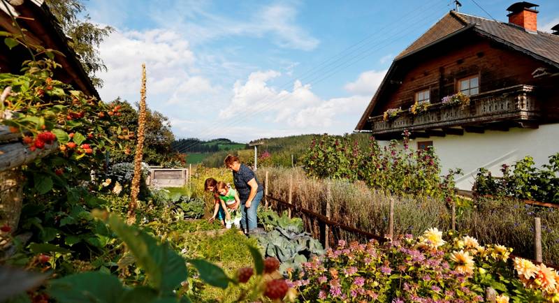 Kräutergarten Pöllabauer hoch über Gasen