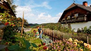Biohof Hochegger / Naturpark / Steiermark