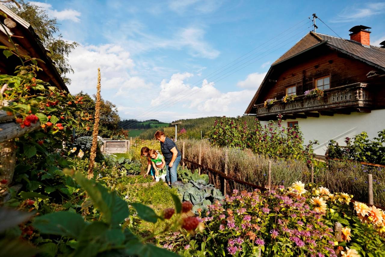 Almenland Bildergalerie Sehenswertes Im Naturpark