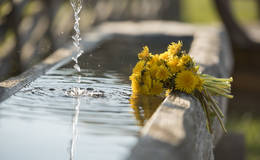 Almbrunnen