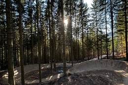 Trailstrecke auf der Sommeralm bei der Funbase Holzmeisterlift.