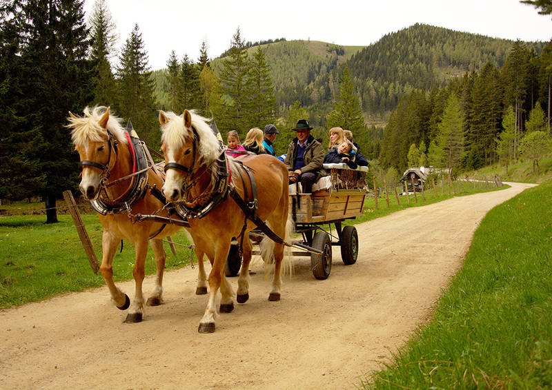 Horse cottage drives on Teichalm