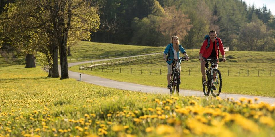 Bewegen & Erleben / Urlaub / Steiermark