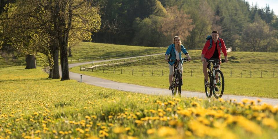 Bewegung und Natur im Urlaub in der Steiermark