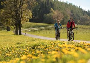 Bewegen & Erleben / Urlaub / Steiermark