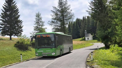 Ausflugsbus Sommeralm Almenland