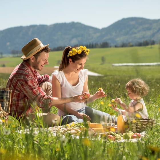 Picknicken im Almenland