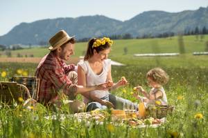 Picknicken im Almenland