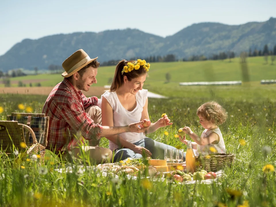 Picknicken im Almenland