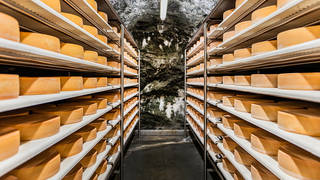 Almenland-Stollenkäse / Kulinarik / Naturpark