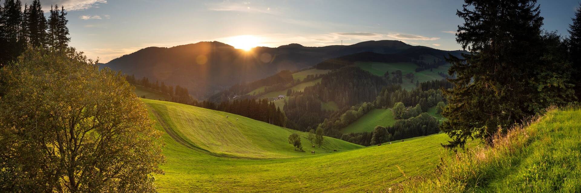 Panoramalandschaft über die Brandlucken und Sommeralm.