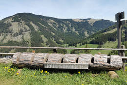 Bike racks on the Tyrnaueralm