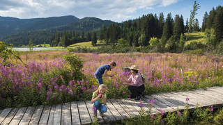 Moor nature trail / Teichalm / Nature Park