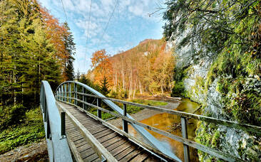 Brücke in der Raabklamm