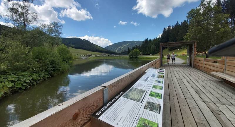 Moorlehrpfad auf der Teichalm