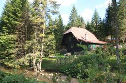 Gaston Lippitt cottage between trees, green meadows and next to the river