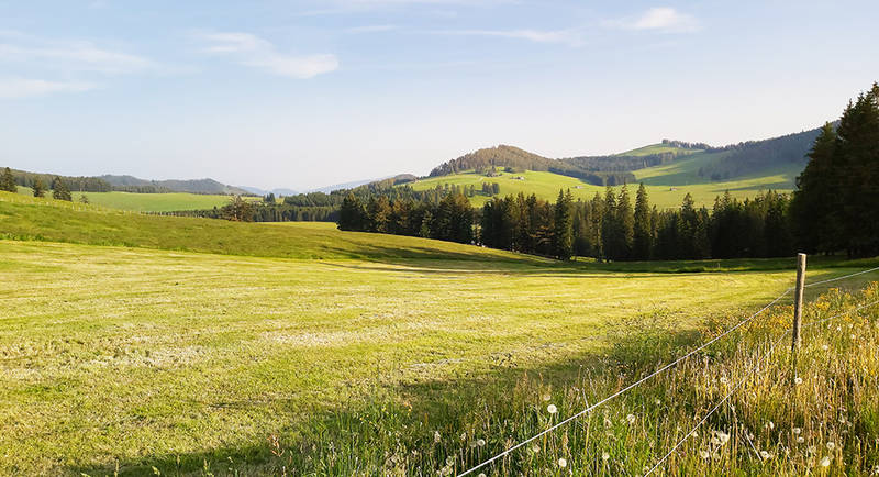 Aussicht Teichalm