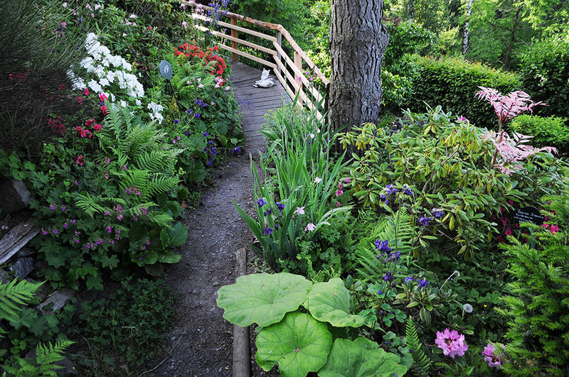 Almenland / Sulamith Garten / Themengarten / Kräuter