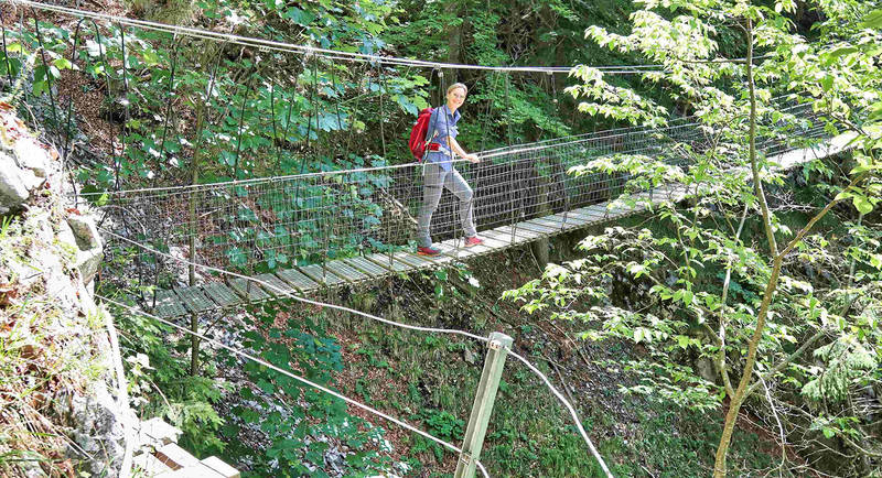 Jägersteig Hängebrücke Foto WEGES