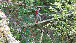 Patscha-Runde / Jägersteig / Wanderung
