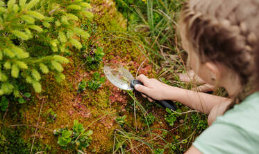 Spielerisch die Natur kennenlernen im Naturpark Almenland. Spielerisch die Natur kennenlernen im Naturpark Almenland.