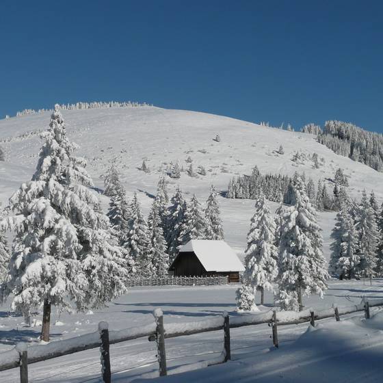 Winterliche Landschaft auf der Teichalm.