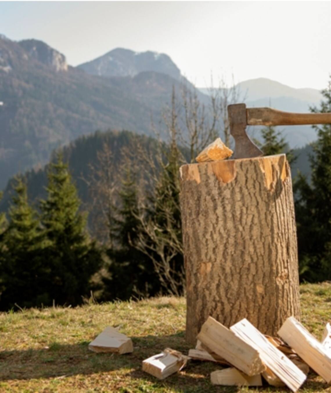 Hahnhütte Feuerholz Hahnhütte Feuerholz