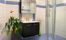 Badezimmer in der Ferienwohnung Raabklamm