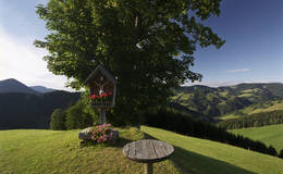Landschaft in Gasen im Naturpark Almenland