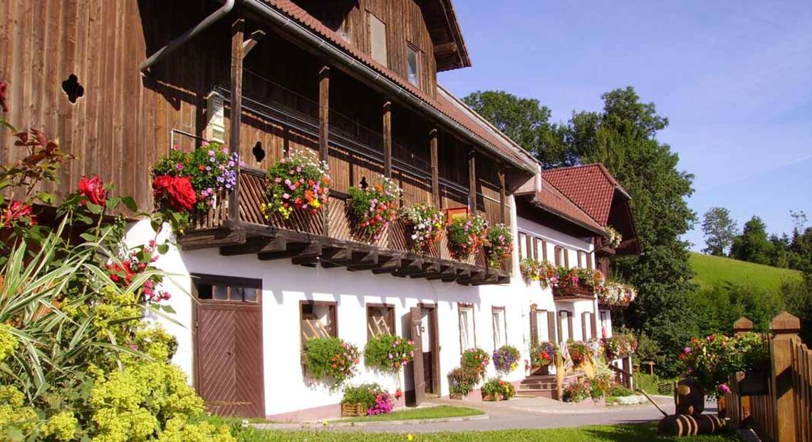 Franzl in Sallegg Koglhof