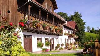 Franzl in Sallegg Urlaub Bauernhof Naturpark