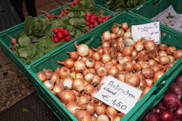 Regionale Köstlichkeiten am Bauernmarkt Weiz
