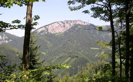 Rote Wand