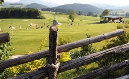 Golf course with the traditional "Bänderzaun"