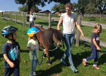 Biobauernhof Eibisberger Ponywanderung