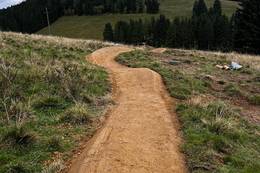 Trailstrecke auf der Sommeralm bei der Funbase Holzmeisterlift.