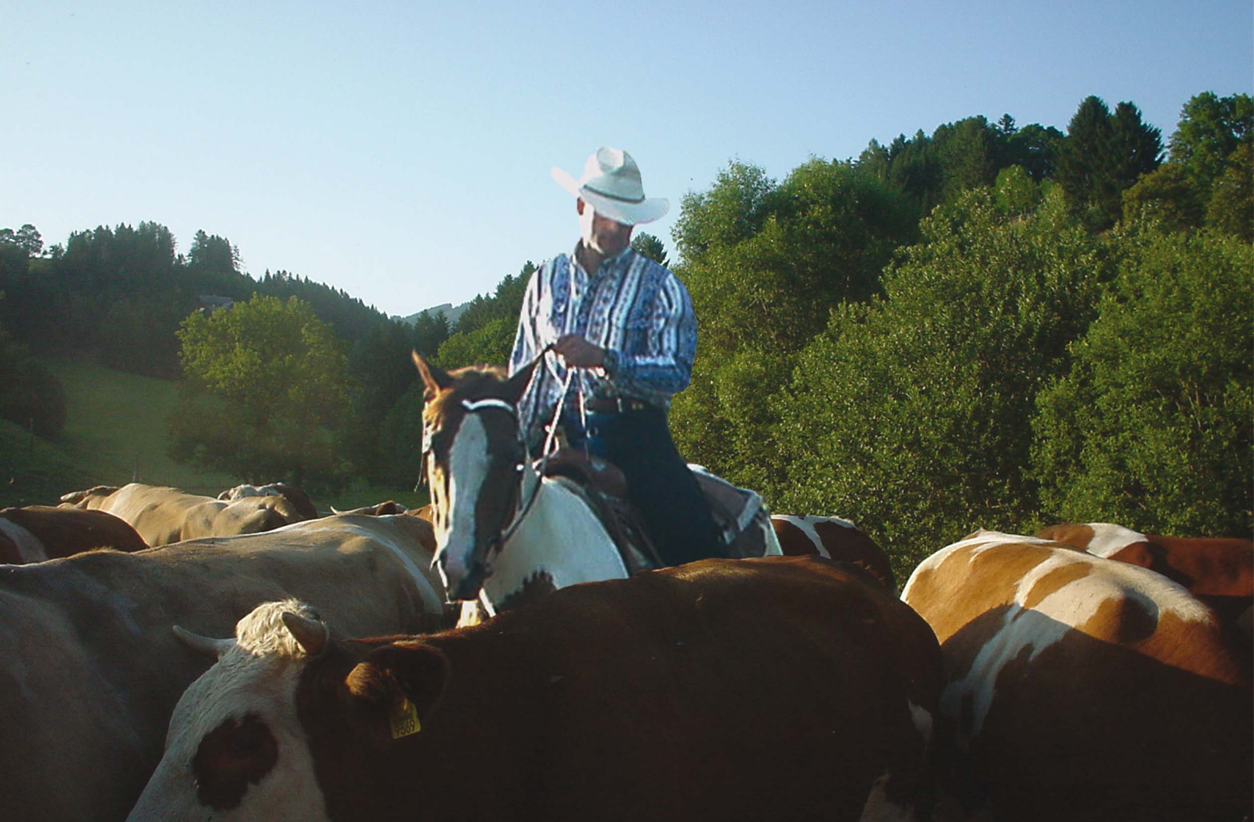 Westernreiten