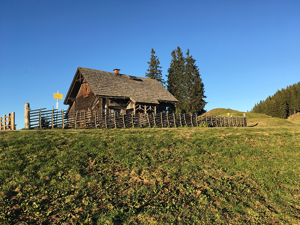 Hofbauer Almhütte