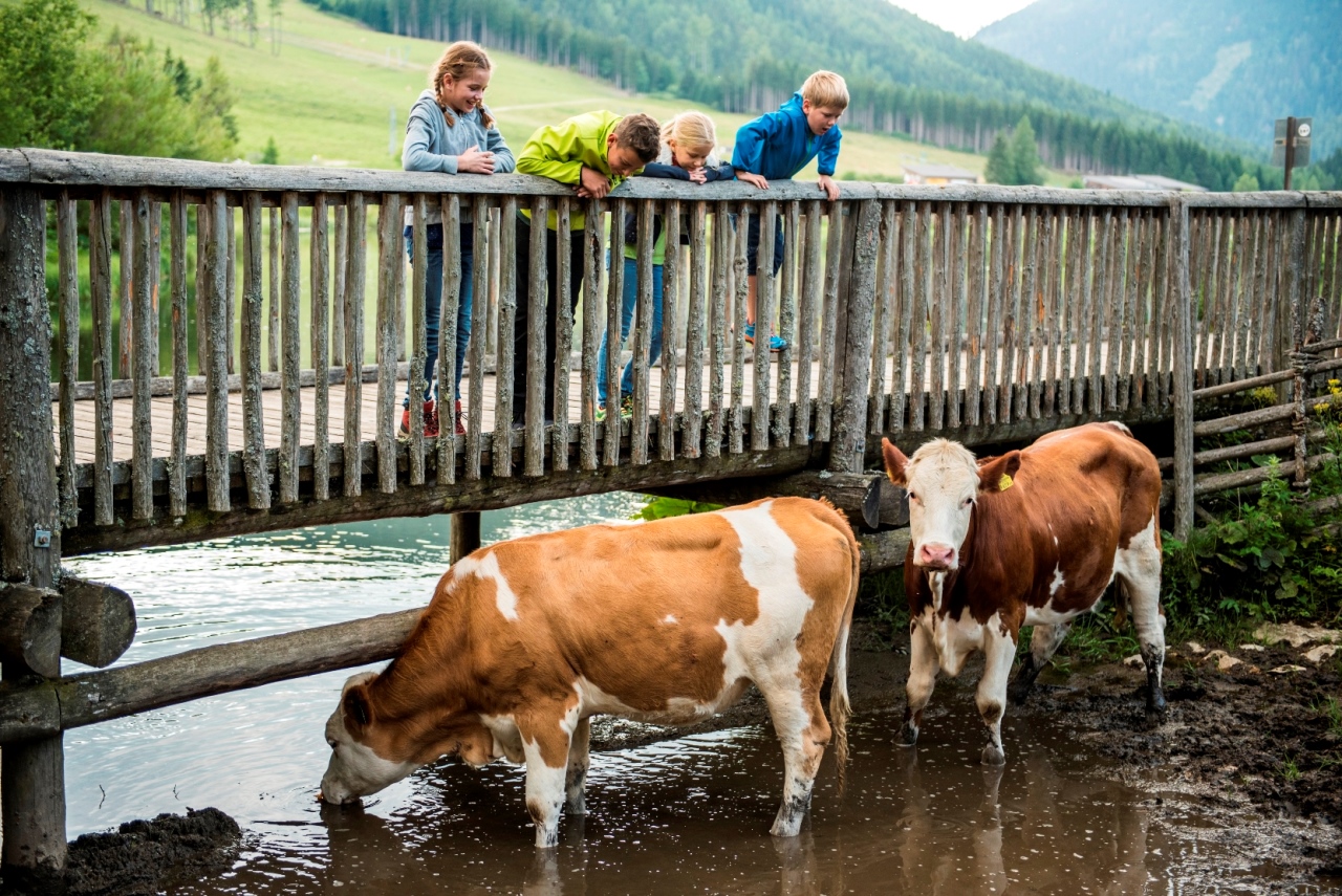 Almos mit Kindern