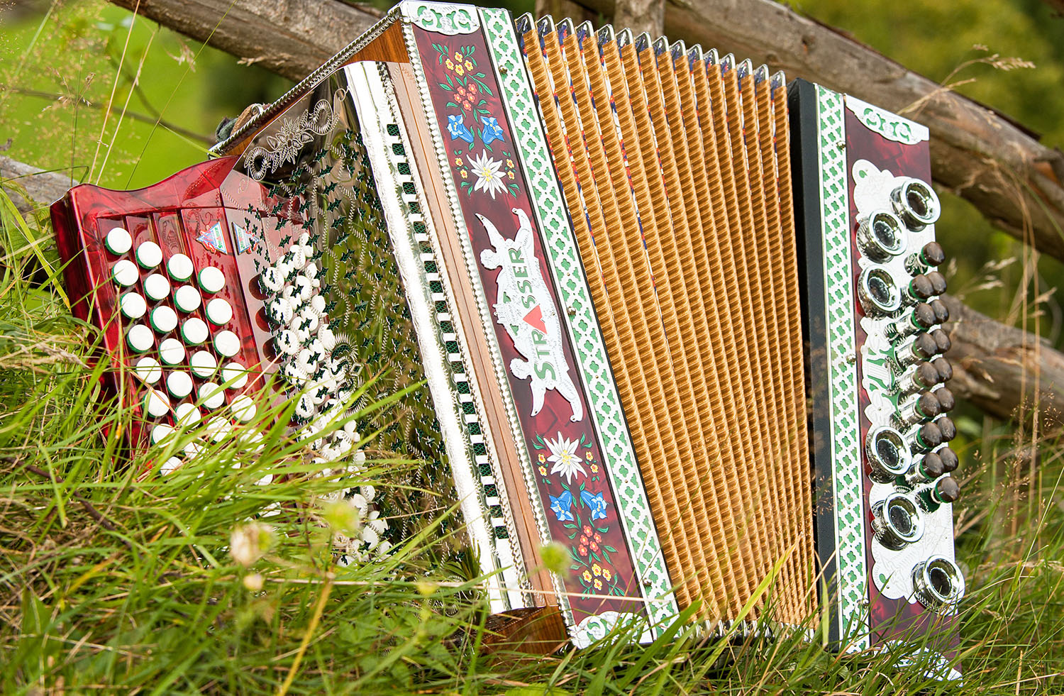 Harmonika in Gasen