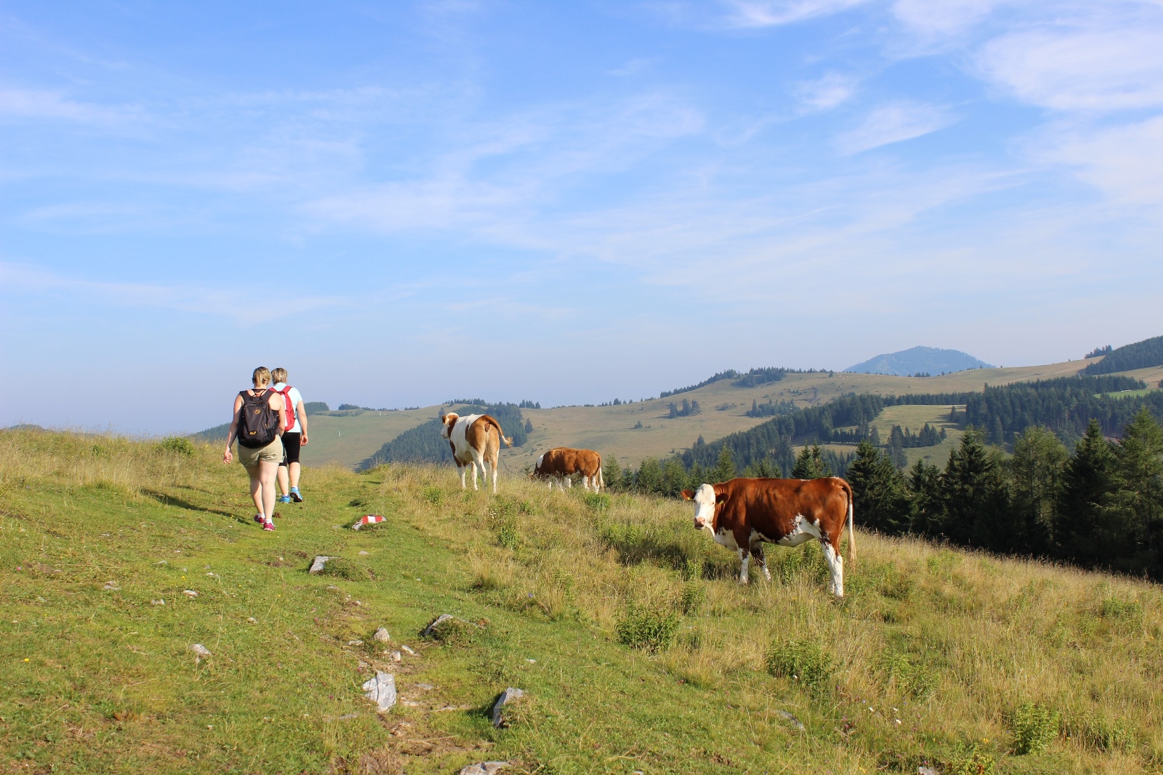 Hiking over the Sommeralm