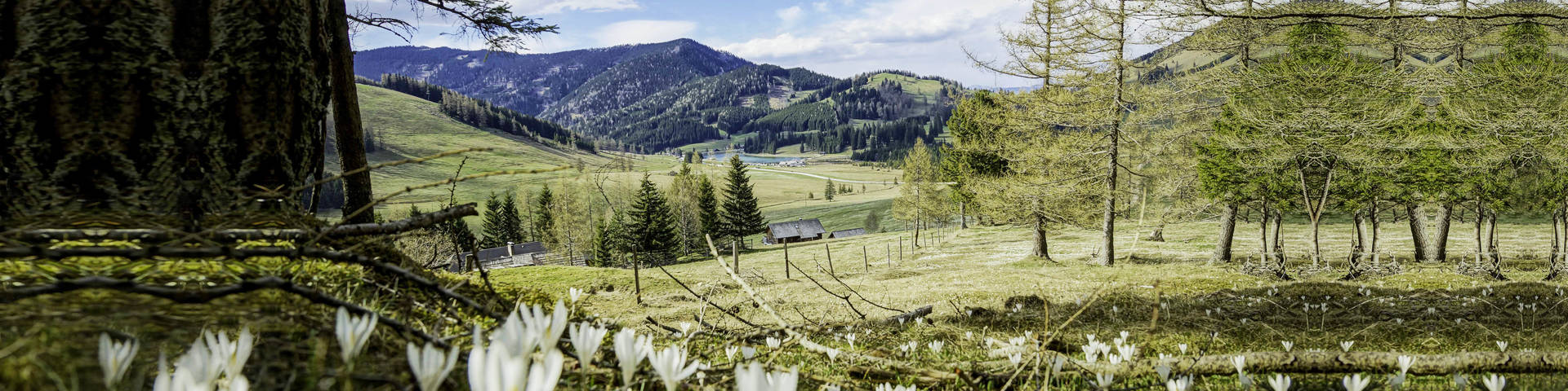 Teichalm im Frühling