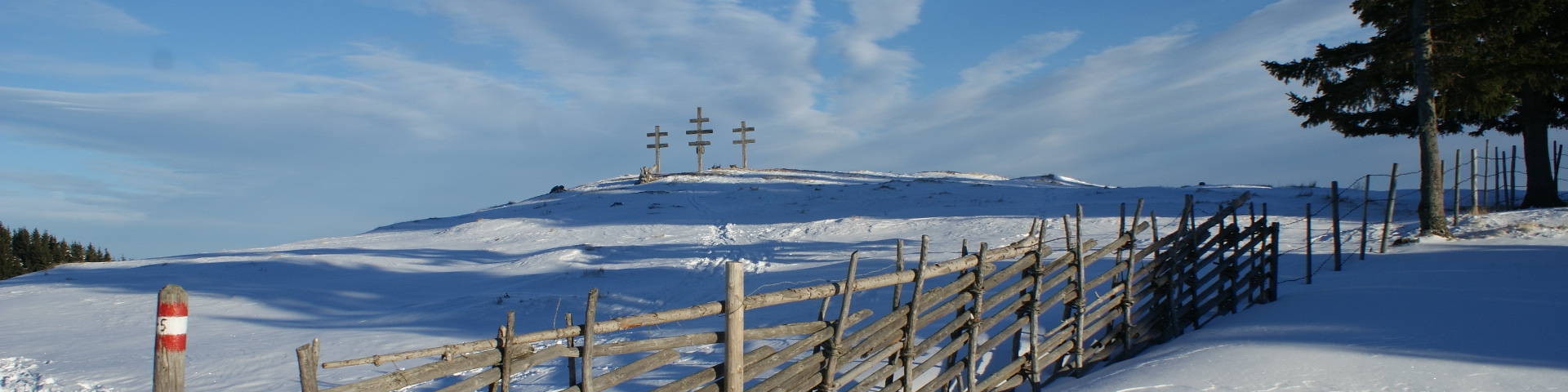 Bänderzaun im Schnee