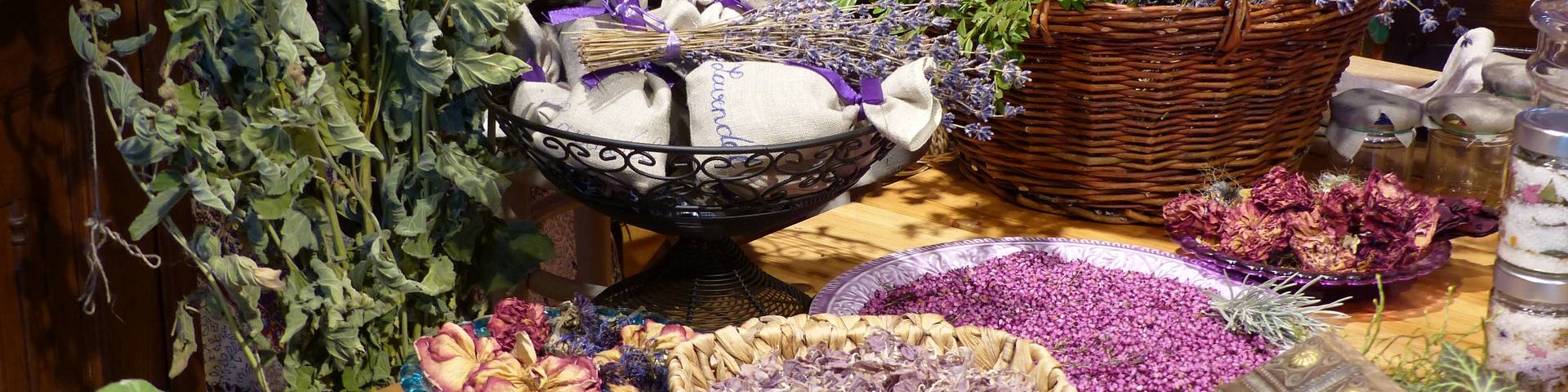 Sulamith Garten Laden